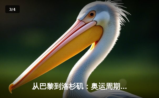从巴黎到洛杉矶：奥运周期下的中国体育战略转型与挑战 - 3